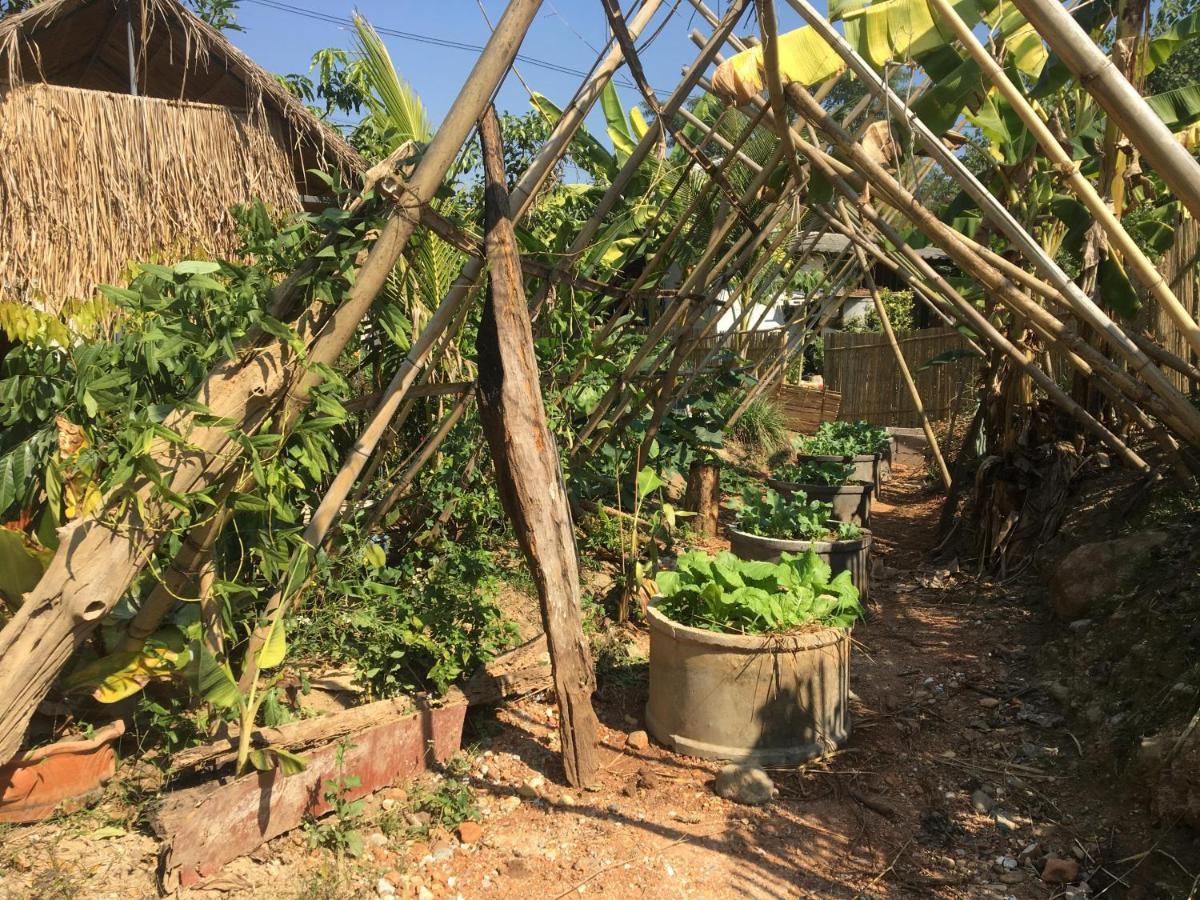Thong Family Homestay Chiangdao Chiang Dao Exterior photo